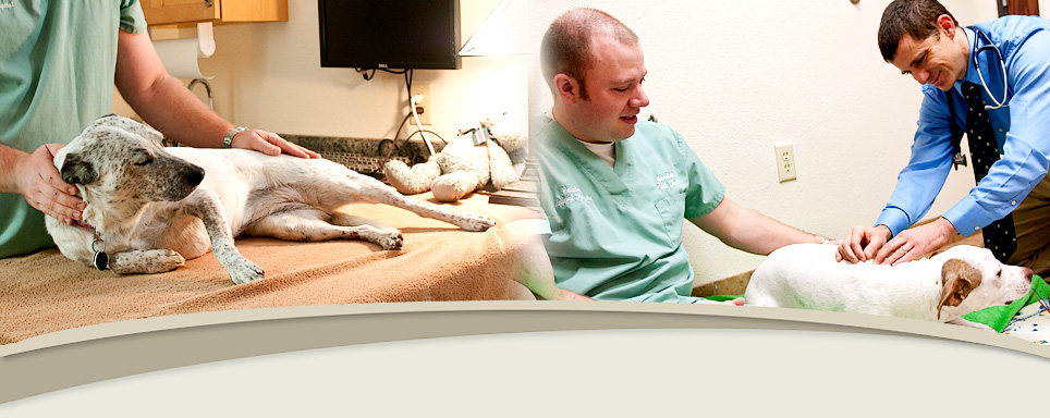 Raintree Animal Hospital