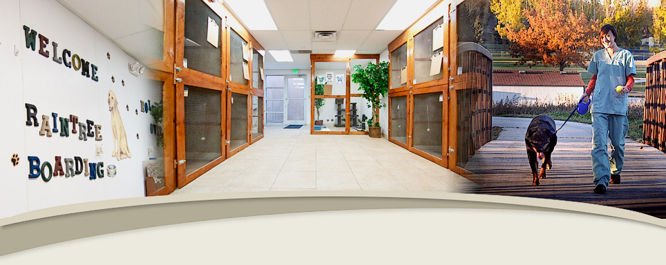 Raintree Animal Hospital