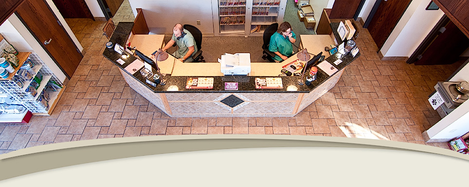 Raintree Animal Hospital