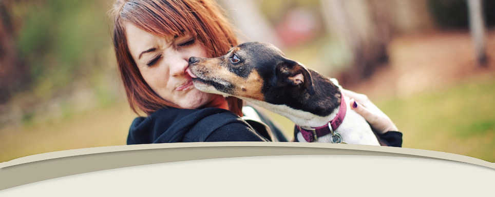 Raintree Animal Hospital