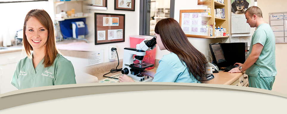 Raintree Animal Hospital Staff