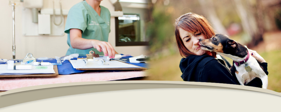 Raintree Animal Hospital