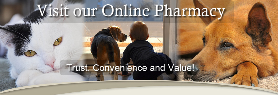 Online Pharmacy